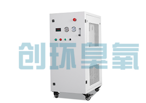 綦江石斑鱼养殖水质调控完整指南:臭氧发生器配置与操作步骤